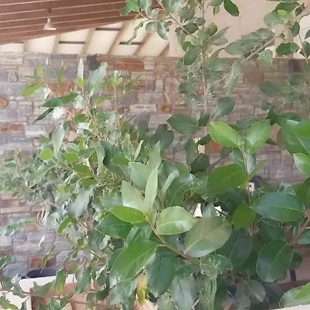 Aparthotel Petries Agioi Apostoloi (Evia)