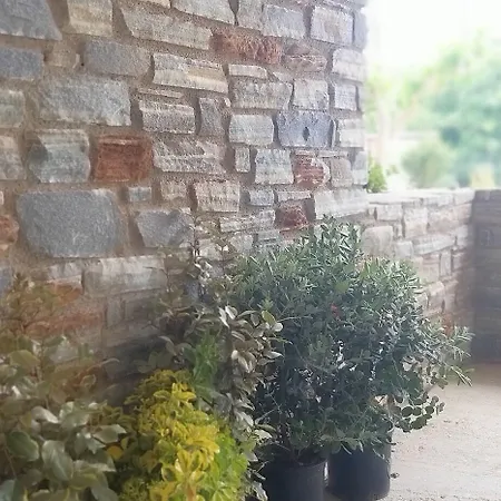 公寓式酒店 Petries 阿约伊阿波斯托洛伊